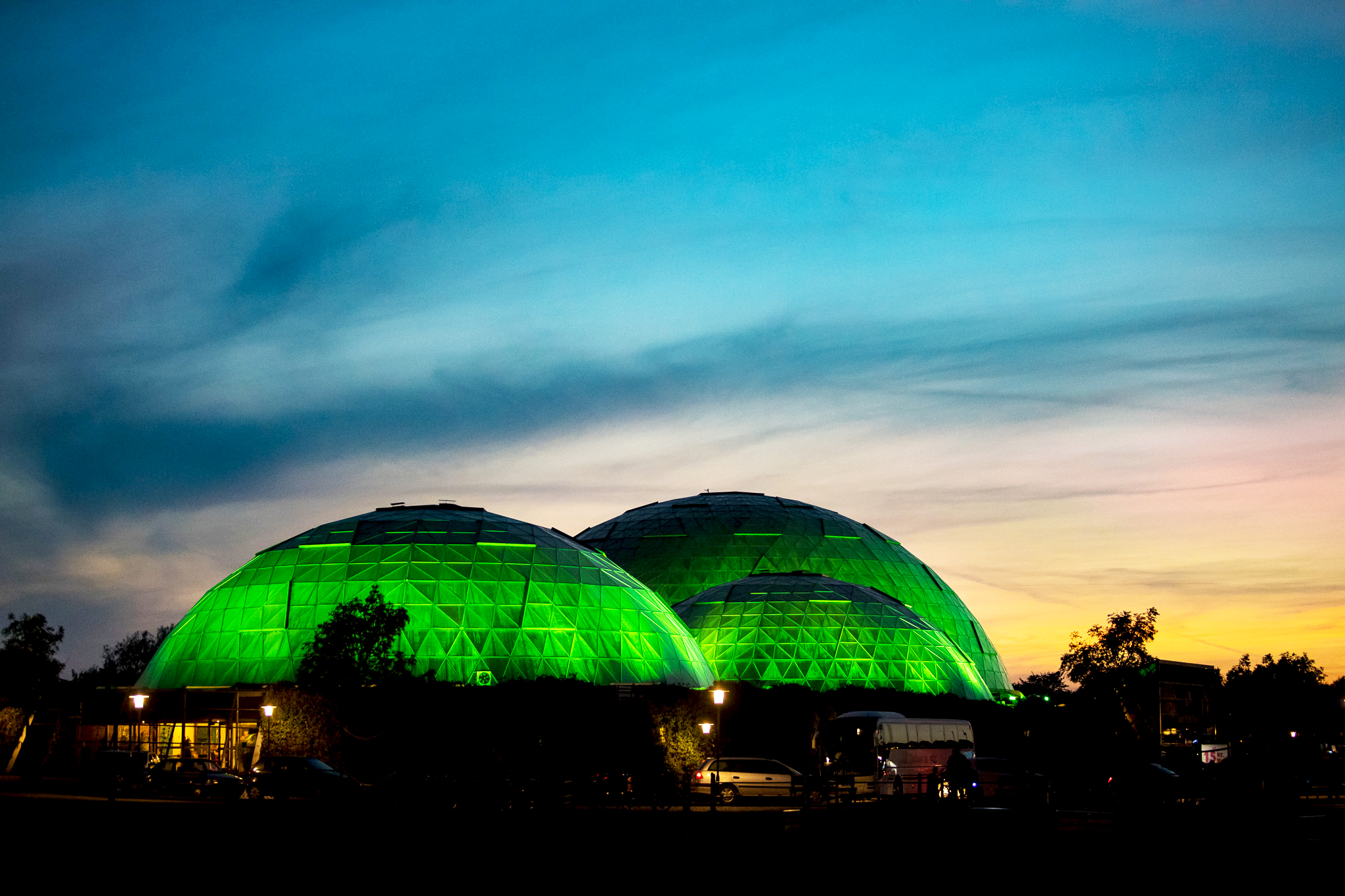 Royal Side Run med Randers Regnskov